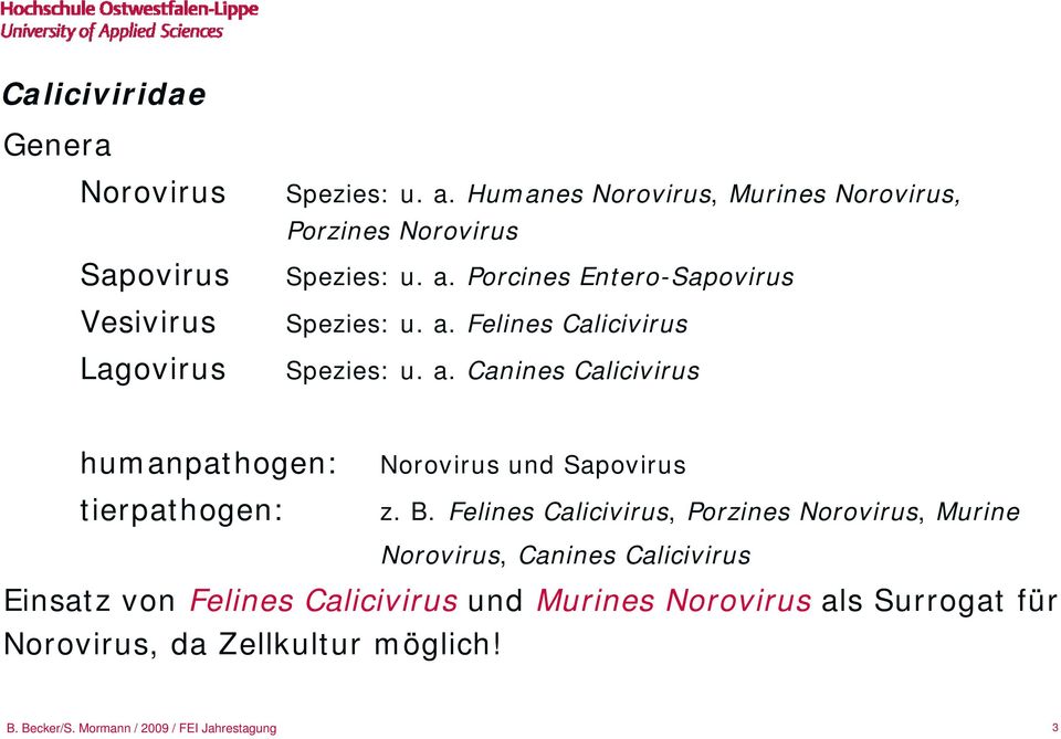 a. Canines Calicivirus humanpathogen: tierpathogen: Norovirus und Sapovirus z. B.