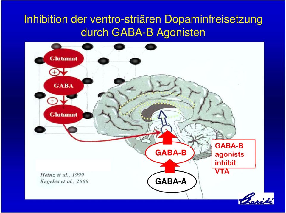 Dopaminfreisetzung durch