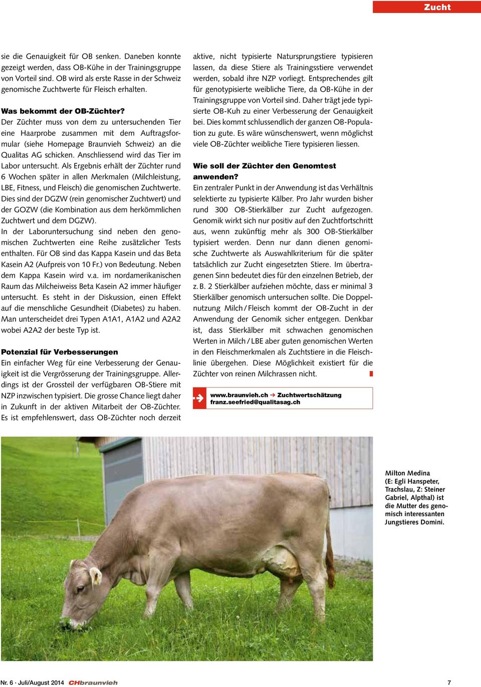 Der Züchter muss von dem zu untersuchenden Tier eine Haarprobe zusammen mit dem Auftragsformular (siehe Homepage Braunvieh Schweiz) an die Qualitas AG schicken.