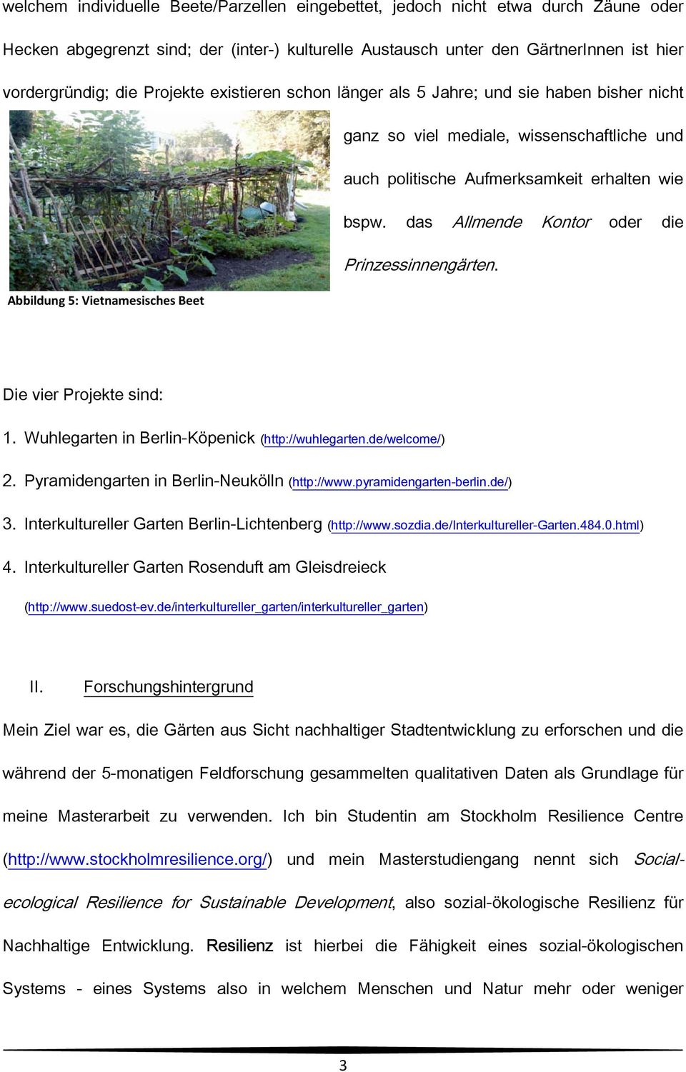 das Allmende Kontor oder die Prinzessinnengärten. Abbildung 5: Vietnamesisches Beet Die vier Projekte sind: 1. Wuhlegarten in Berlin-Köpenick (http://wuhlegarten.de/welcome/) 2.