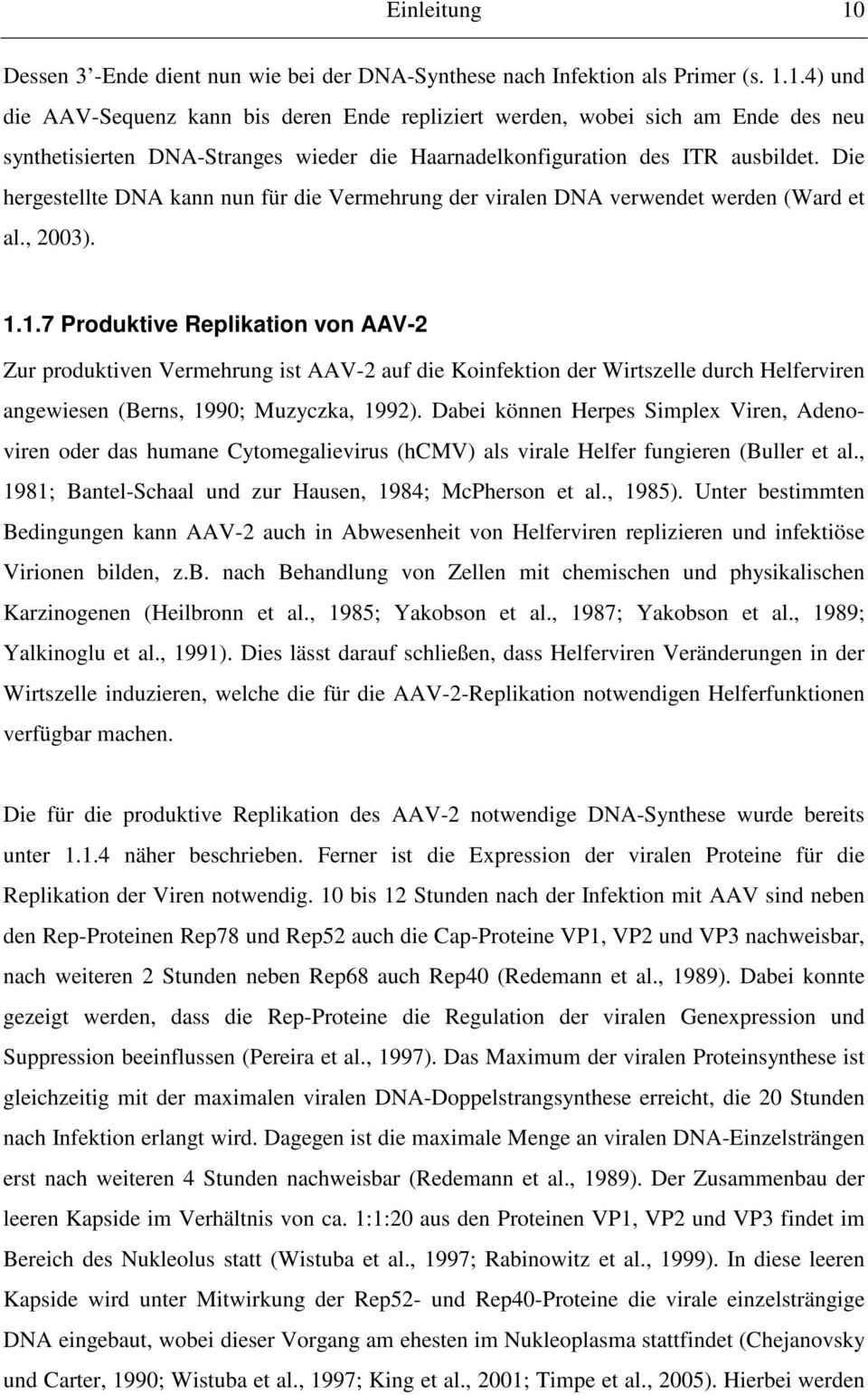 1.7 Produktive Replikation von AAV-2 Zur produktiven Vermehrung ist AAV-2 auf die Koinfektion der Wirtszelle durch Helferviren angewiesen (Berns, 1990; Muzyczka, 1992).