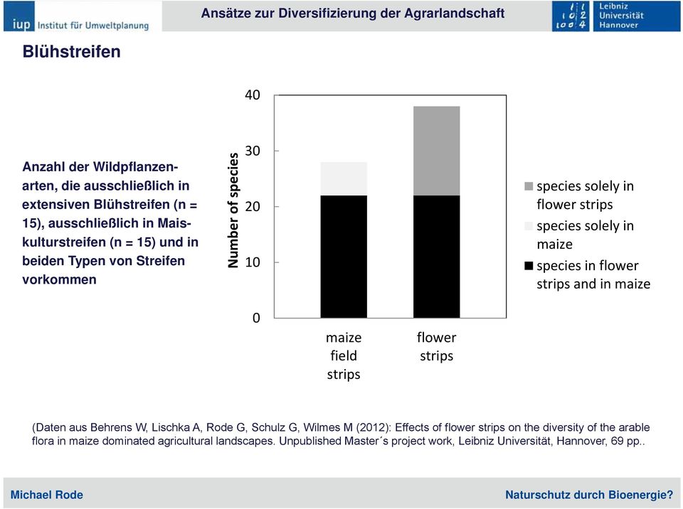 solely in maize species in flower strips and in maize 0 maize field strips flower strips (Daten aus Behrens W, Lischka A, Rode G, Schulz G, Wilmes M (2012):