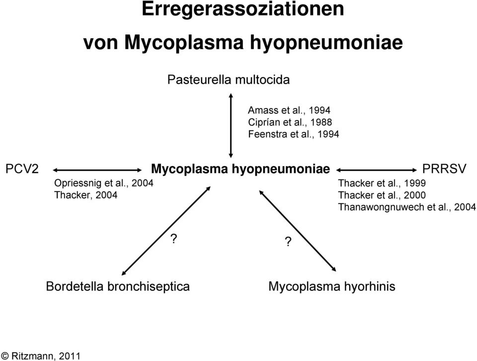, 2004 Thacker, 2004 Mycoplasma hyopneumoniae PRRSV Thacker et al.