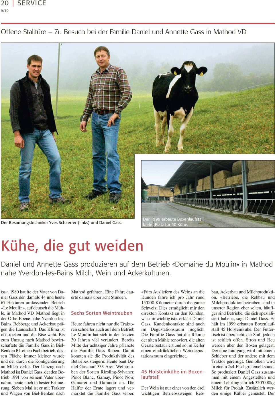Kühe, die gut weiden Daniel und Annette Gass produzieren auf dem Betrieb «Domaine du Moulin» in Mathod nahe Yverdon-les-Bains Milch, Wein und Ackerkulturen. knu.