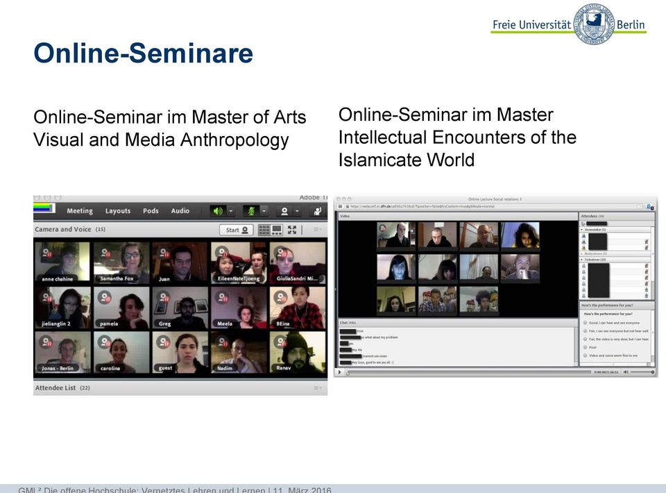 Anthropology Online-Seminar im Master
