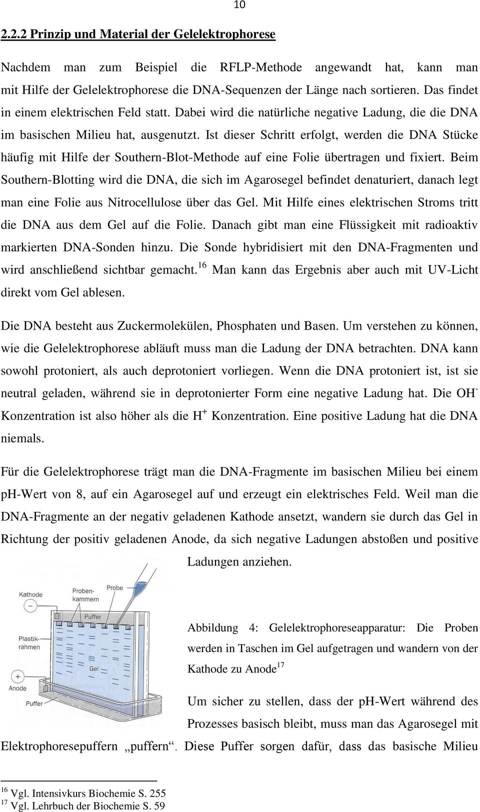 Ist dieser Schritt erfolgt, werden die DNA Stücke häufig mit Hilfe der Southern-Blot-Methode auf eine Folie übertragen und fixiert.