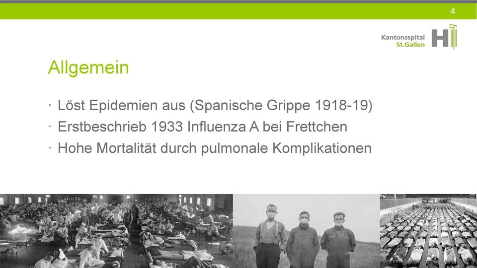 Erstbeschrieb 1933 Influenza A bei