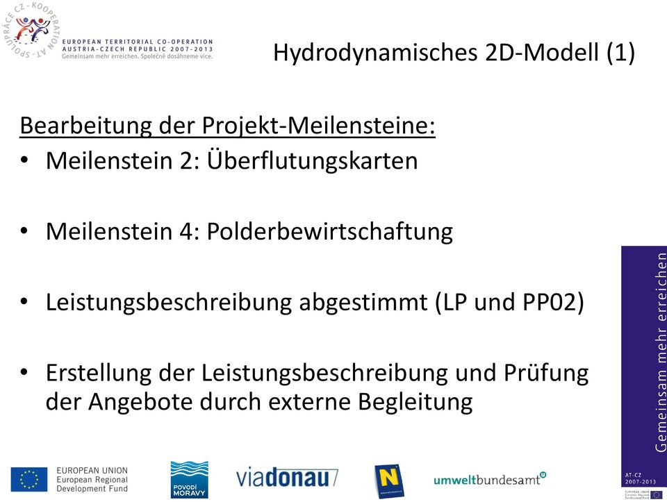 Hydrodynamisches 2D-Modell (1) Leistungsbeschreibung abgestimmt (LP