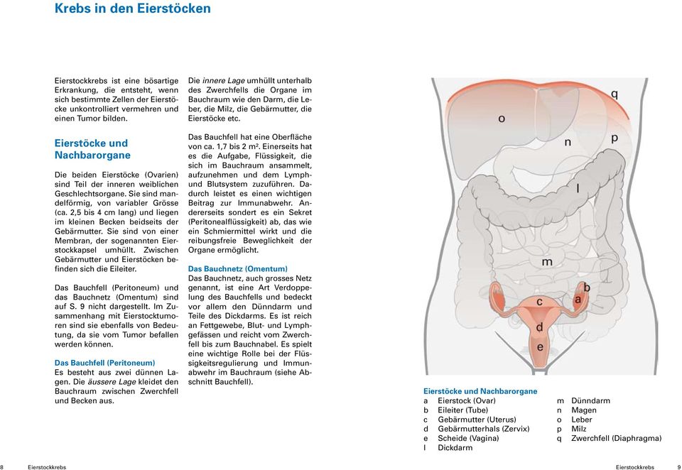 Eierstöcke und Nachbarorgane Die beiden Eierstöcke (Ovarien) sind Teil der inneren weiblichen Geschlechtsorgane. Sie sind mandelförmig, von variabler Grösse (ca.