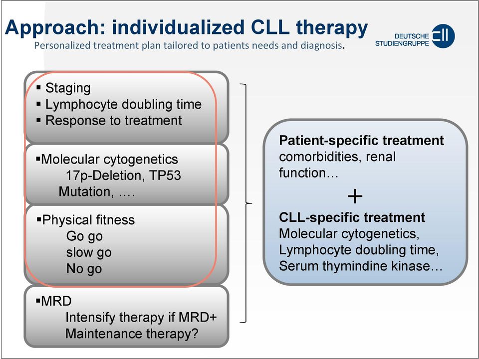 Physical fitness Go go slow go No go Patient-specific treatment comorbidities, renal function + CLL-specific