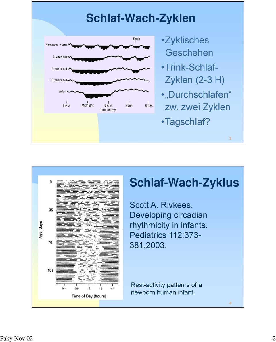 3 Schlaf-Wach-Zyklus Scott A. Rivkees.