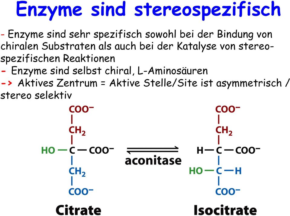 stereospezifischen Reaktionen - Enzyme sind selbst chiral,
