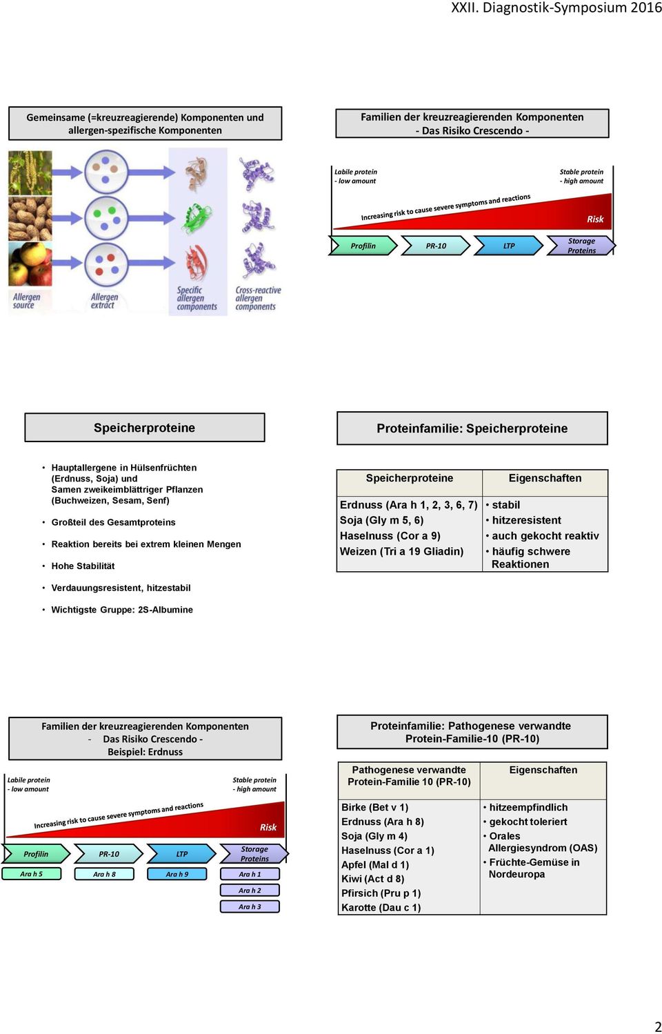 Sesam, Senf) Großteil des Gesamtproteins Reaktion bereits bei extrem kleinen Mengen Hohe Stabilität Verdauungsresistent, hitzestabil Wichtigste Gruppe: 2S-Albumine Speicherproteine Erdnuss (Ara h 1,