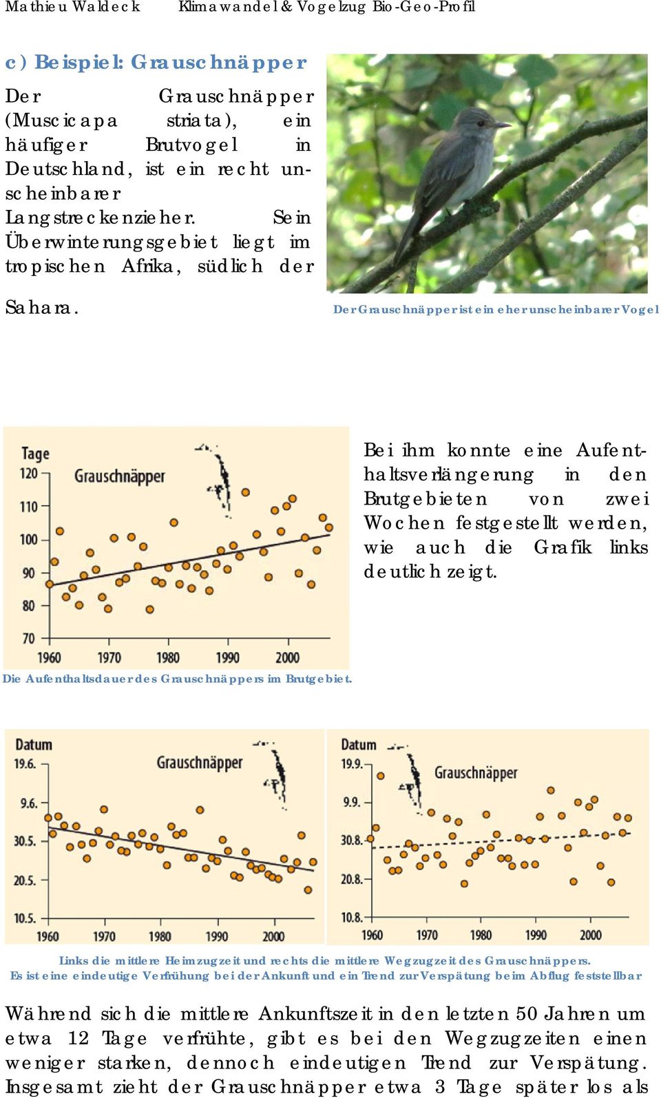 Der Grauschnäpper ist ein eher unscheinbarer Vogel Bei ihm konnte eine Aufenthaltsverlängerung in den Brutgebieten von zwei Wochen festgestellt werden, wie auch die Grafik links deutlich zeigt.