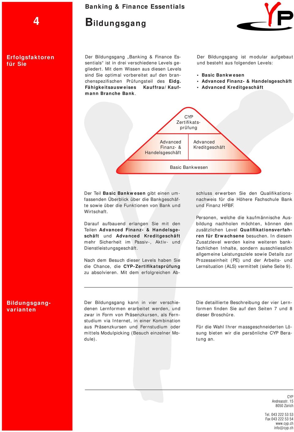 Der Bildungsgang ist modular aufgebaut und besteht aus folgenden Levels: Basic Bankwesen Advanced Finanz- & Handelsgeschäft Advanced Kreditgeschäft CYP Zertifikatsprüfung Advanced Finanz- &