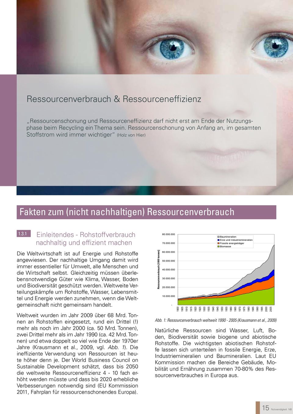 1 Einleitendes - Rohstoffverbrauch nachhaltig und effizient machen Die Weltwirtschaft ist auf Energie und Rohstoffe angewiesen.