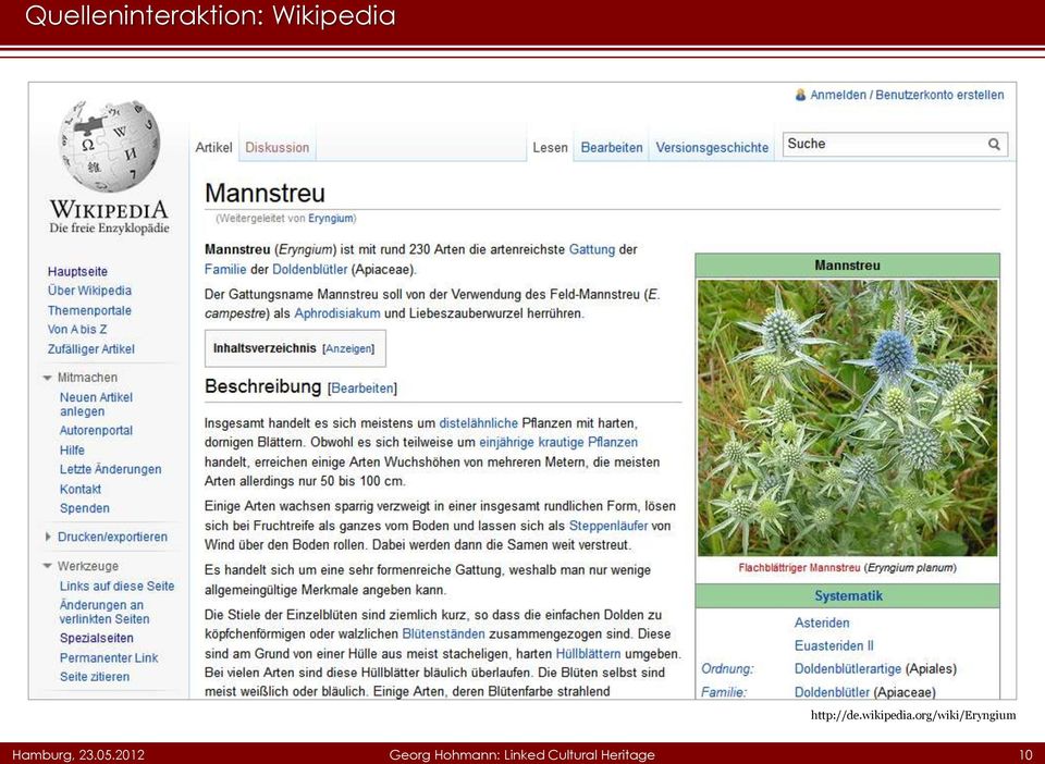 org/wiki/eryngium Hamburg, 23.05.