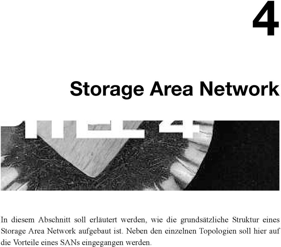 Struktur eines Storage Area Network aufgebaut ist.