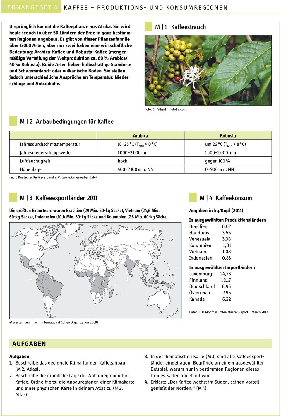 Es gibt von dieser Pflanzenfamilie über 6 000 Arten, aber nur zwei haben eine wirtschaftliche Bedeutung: Arabica-Kaffee und Robusta-Kaffee (mengenmäßige Verteilung der Weltproduktion ca.