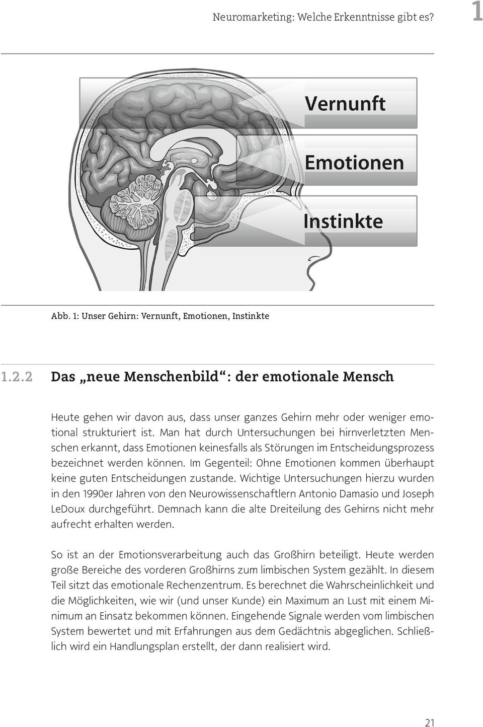 Man hat durch Untersuchungen bei hirnverletzten Menschen erkannt, dass Emotionen keinesfalls als Störungen im Entscheidungsprozess bezeichnet werden können.