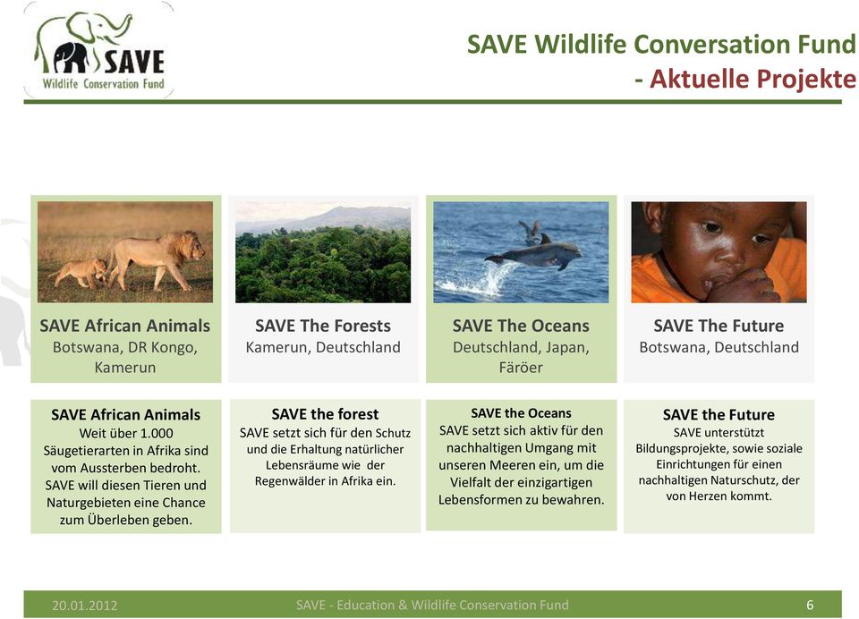 SAVE the forest SAVE setzt sich für den Schutz und die Erhaltung natürlicher Lebensräume wie der Regenwälder in Afrika ein.