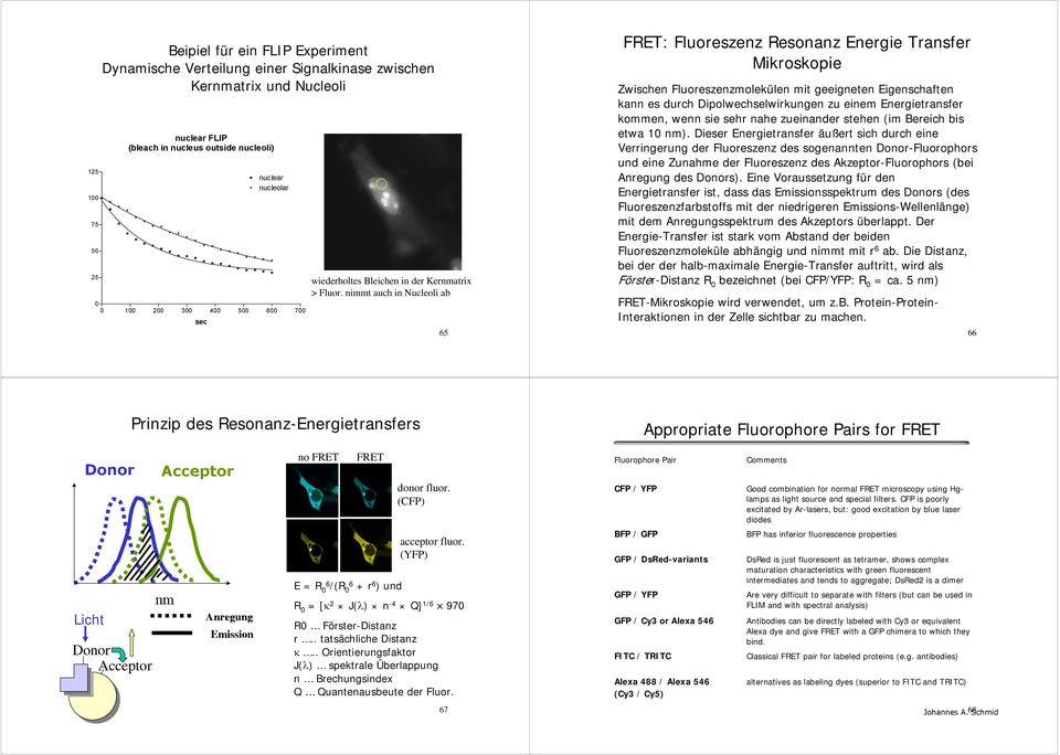 nimmt auch in Nucleoli ab 65 FRET: Fluoreszenz Resonanz Energie Transfer Mikroskopie Zwischen Fluoreszenzmolekülen mit geeigneten Eigenschaften kann es durch Dipolwechselwirkungen zu einem