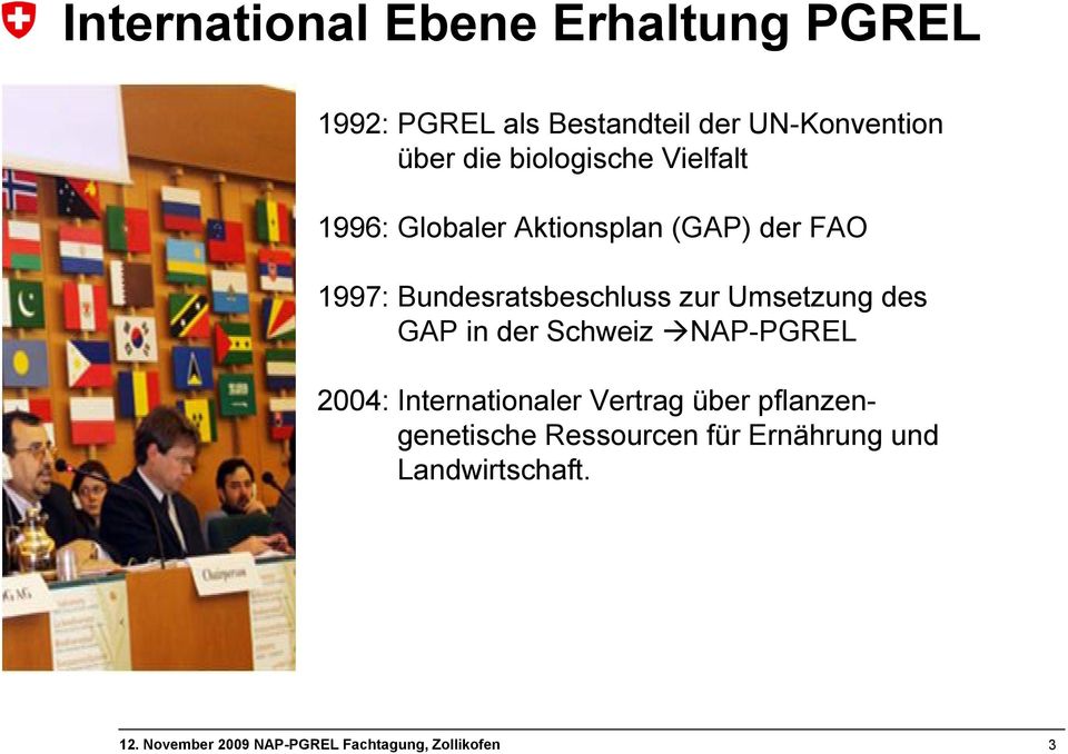 Bundesratsbeschluss zur Umsetzung des GAP in der Schweiz NAP-PGREL 2004: