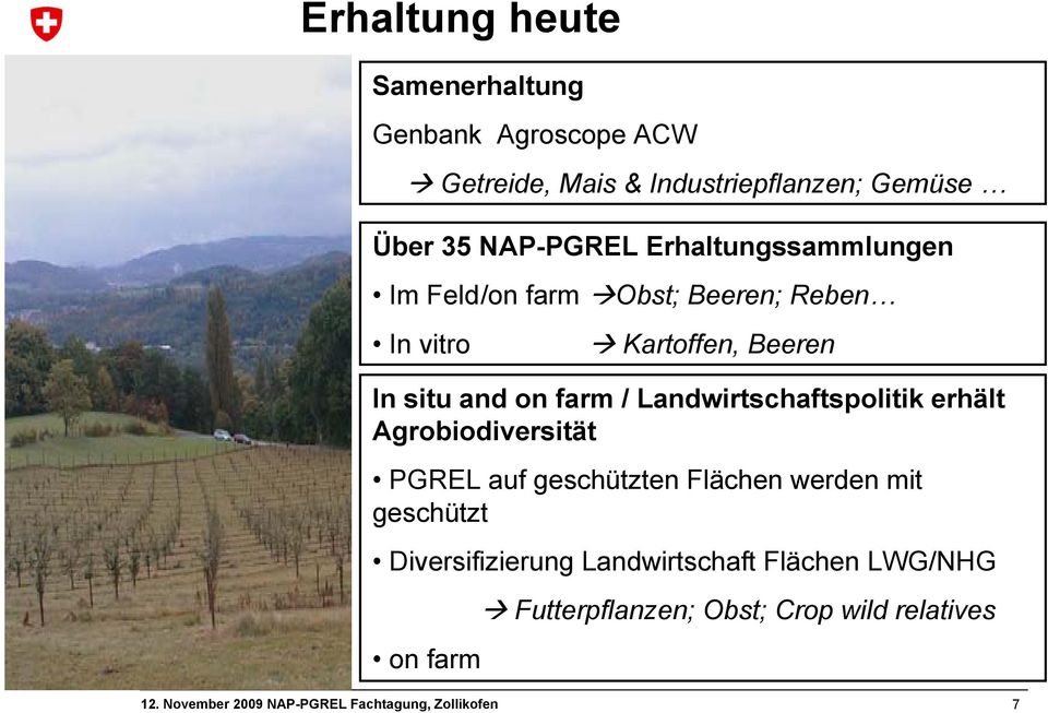 and on farm / Landwirtschaftspolitik erhält Agrobiodiversität PGREL auf geschützten Flächen werden mit