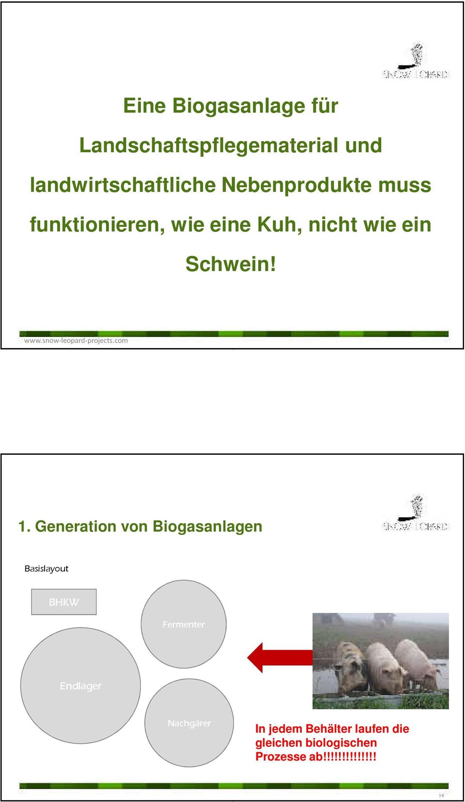wwwsnow-leopard-projectscom 1 Generation von Biogasanlagen Basislayout BHKW