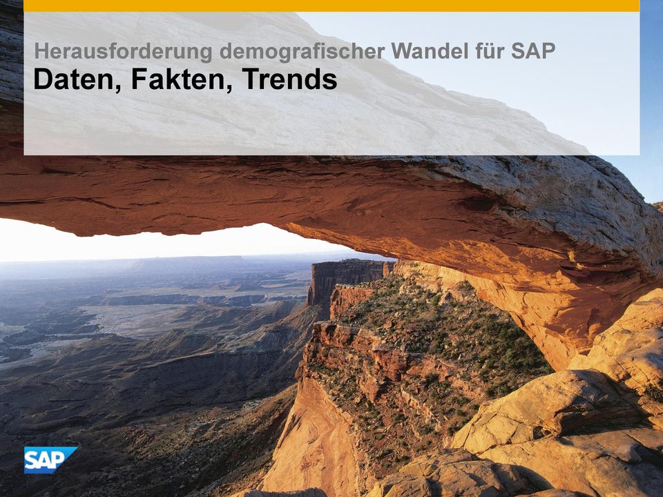SAP Daten, Fakten, Trends
