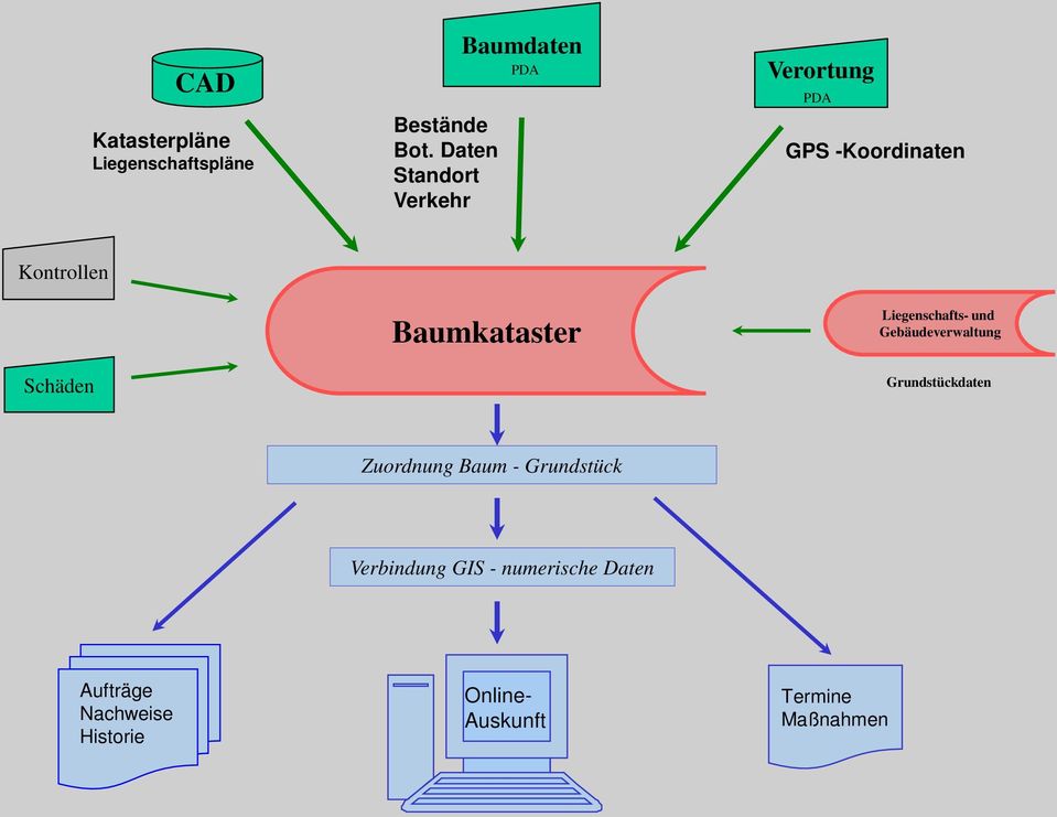 Kontrollen Schäden Baumkataster Liegenschafts- und Gebäudeverwaltung