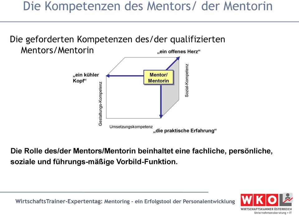 kühler Kopf Mentor/ Mentorin Umsetzungskompetenz die praktische Erfahrung Die Rolle