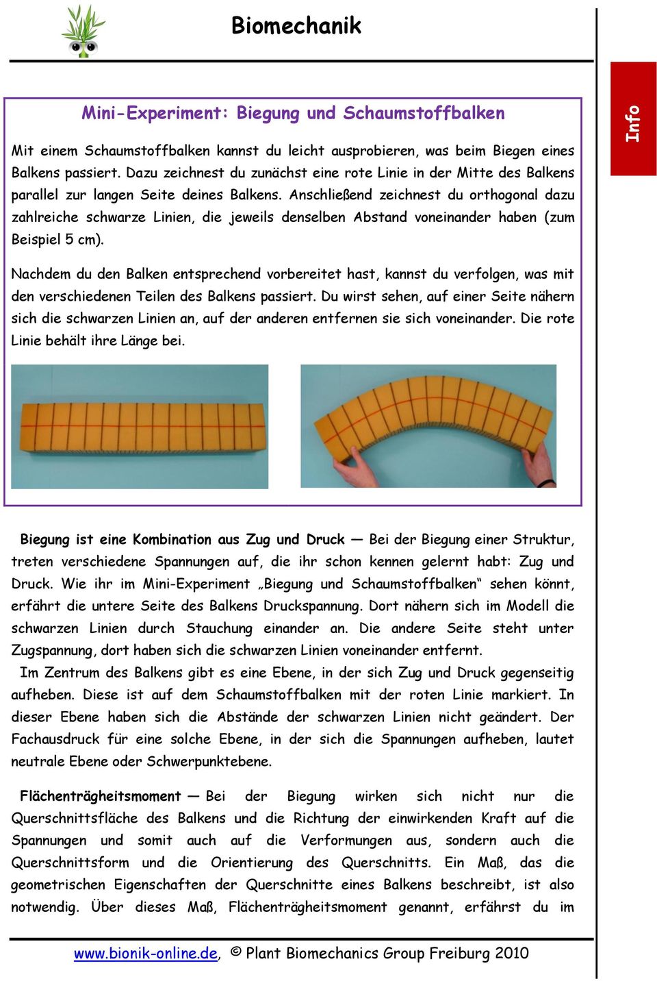 Anschließend zeichnest du orthogonal dazu zahlreiche schwarze Linien, die jeweils denselben Abstand voneinander haben (zum Beispiel 5 cm).