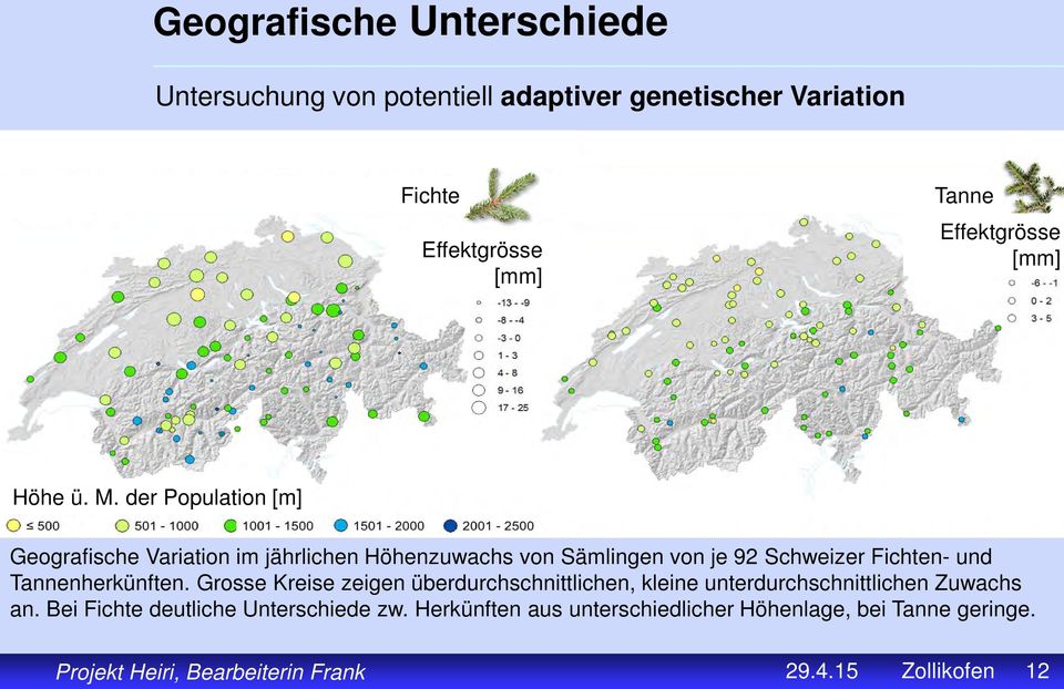 der Population [m] Geografische Variation im jährlichen Höhenzuwachs von Sämlingen von je 92 Schweizer Fichten- und