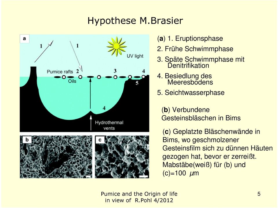 Seichtwasserphase (b) Verbundene Gesteinsbläschen in Bims (c) Geplatzte Bläschenwände in