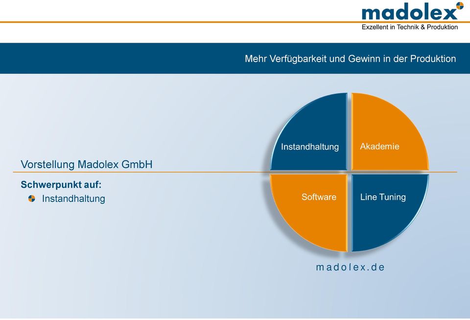Madolex GmbH Schwerpunkt