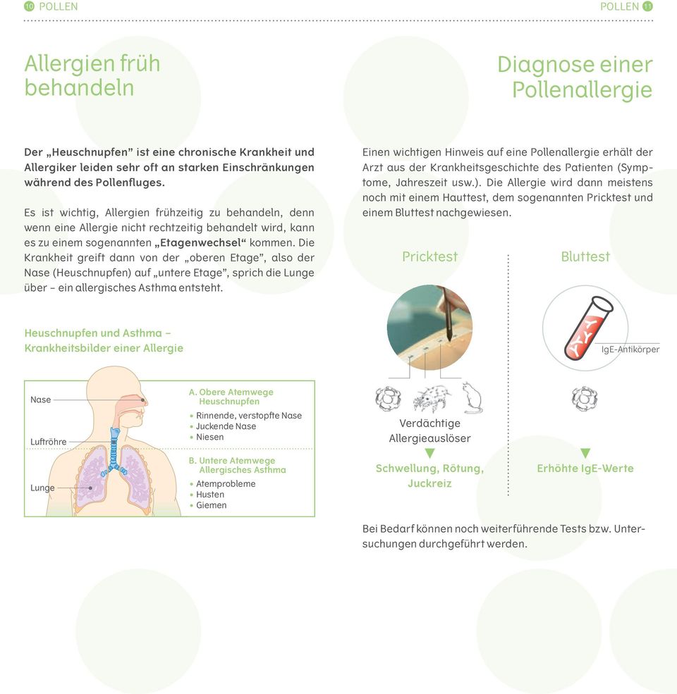 Die Krankheit greift dann von der oberen Etage, also der Nase (Heuschnupfen) auf untere Etage, sprich die Lunge über ein allergisches Asthma entsteht.