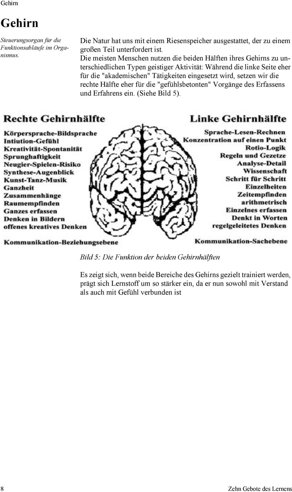 eingesetzt wird, setzen wir die rechte Hälfte eher für die "gefühlsbetonten" Vorgänge des Erfassens und Erfahrens ein. (Siehe Bild 5).