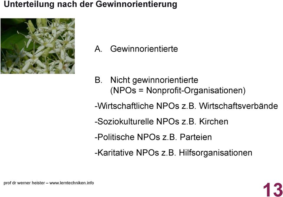 Wirtschaftliche NPOs z.b. Wirtschaftsverbände - Soziokulturelle NPOs z.