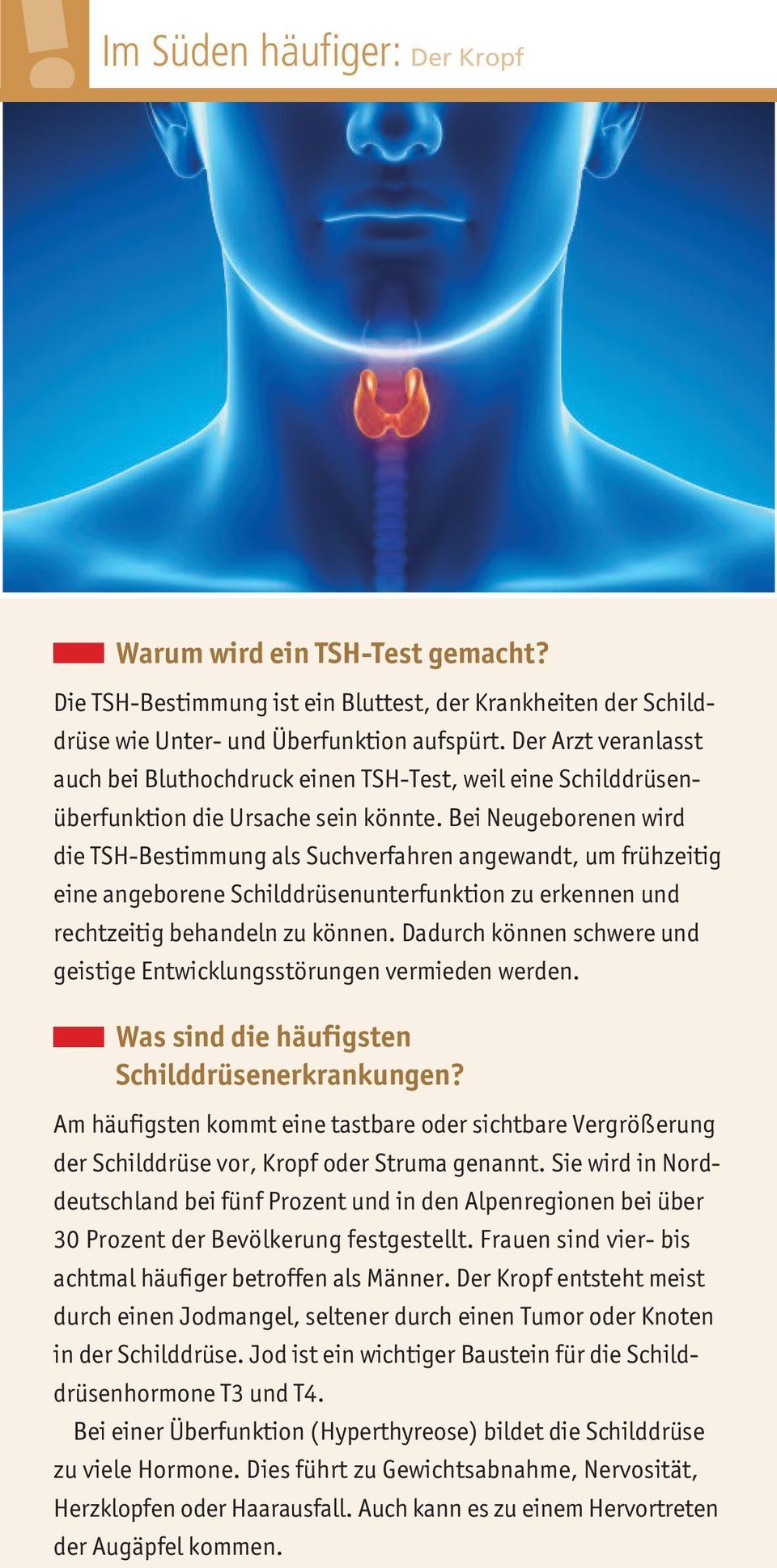 Bei Neugeborenen wird die TSH-Bestimmung als Suchverfahren angewandt, um frühzeitig eine angeborene Schilddrüsenunterfunktion zu erkennen und rechtzeitig behandeln zu können.