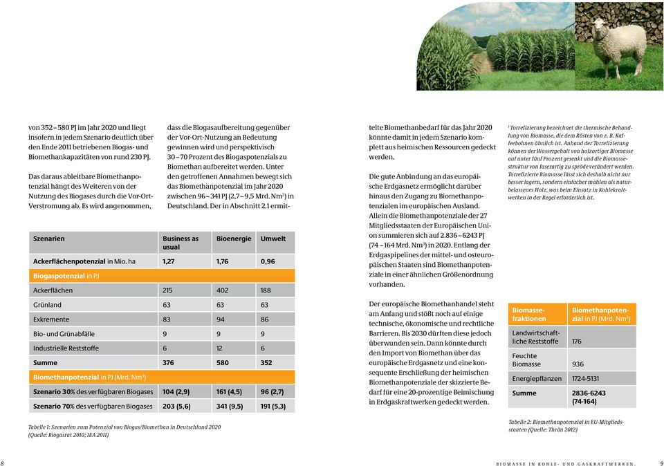 Es wird angenommen, Szenarien Business as usual Tabelle 1: Szenarien zum Potenzial von Biogas/Biomethan in Deutschland 22 (Quelle: Biogasrat 21; IEA 211) Bioenergie Umwelt Ackerflächenpotenzial in