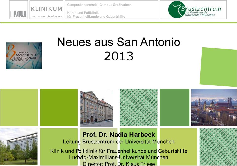 Nadia Harbeck Leitung Brustzentrum der Universität München Klinik und Poliklinik