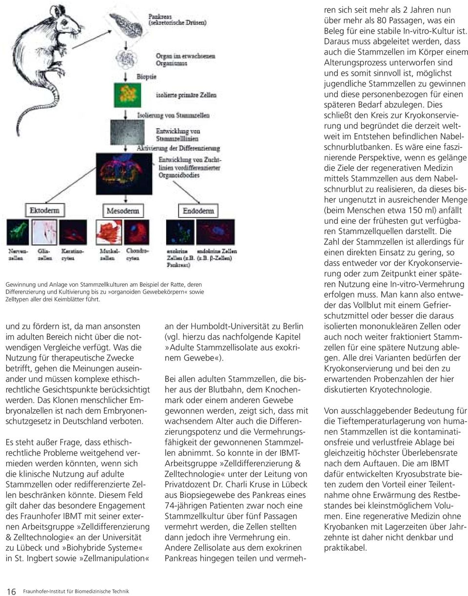 Was die Nutzung für therapeutische Zwecke betrifft, gehen die Meinungen auseinander und müssen komplexe ethischrechtliche Gesichtspunkte berücksichtigt werden.