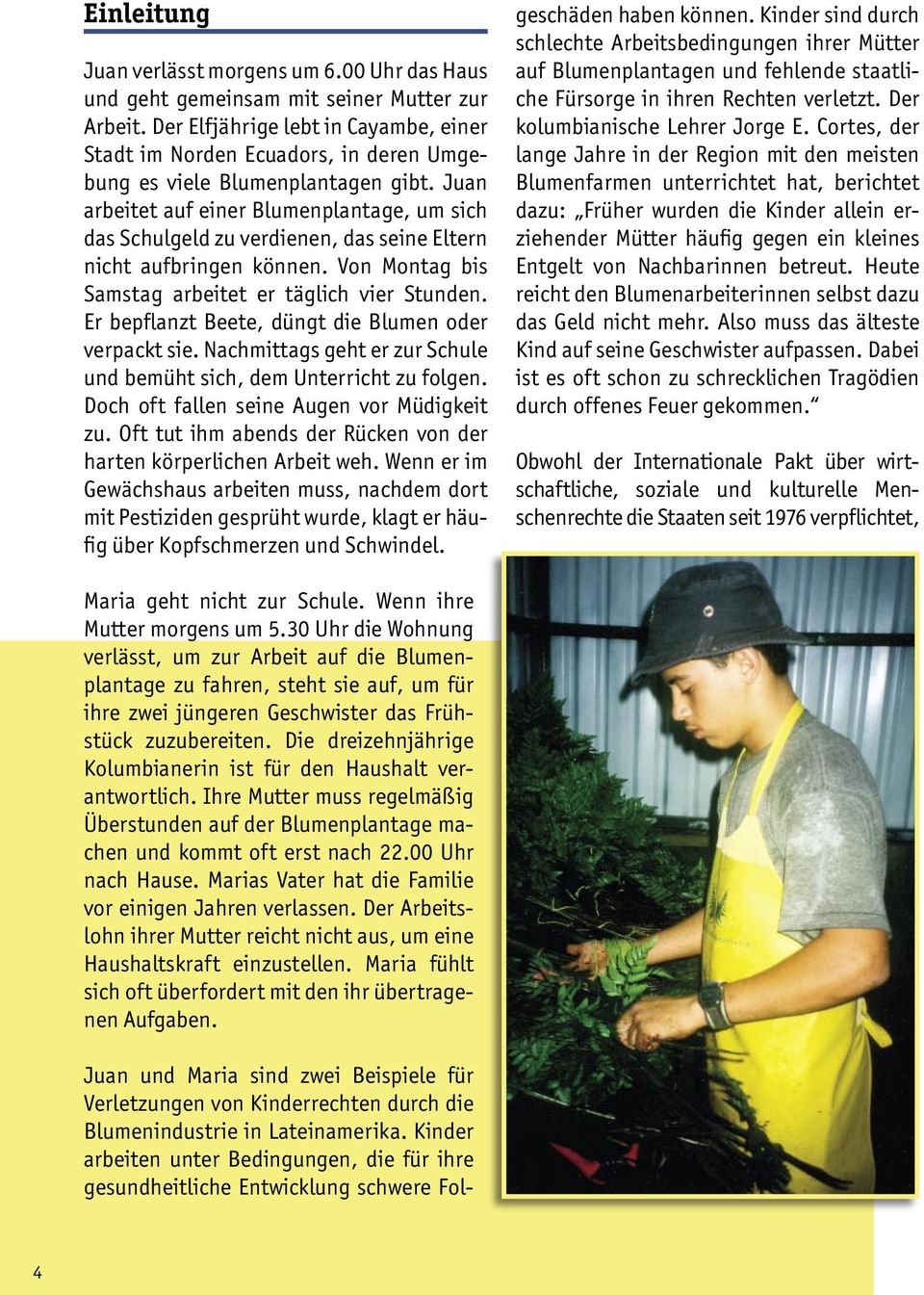 Juan arbeitet auf einer Blumenplantage, um sich das Schulgeld zu verdienen, das seine Eltern nicht aufbringen können. Von Montag bis Samstag arbeitet er täglich vier Stunden.