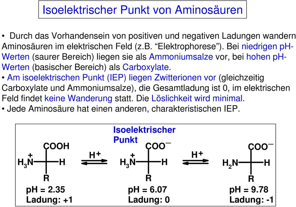 Am isoelektrischen Punkt (IEP) liegen Zwitterionen vor (gleichzeitig arboxylate und Ammoniumsalze), die Gesamtladung ist 0, im elektrischen Feld findet keine