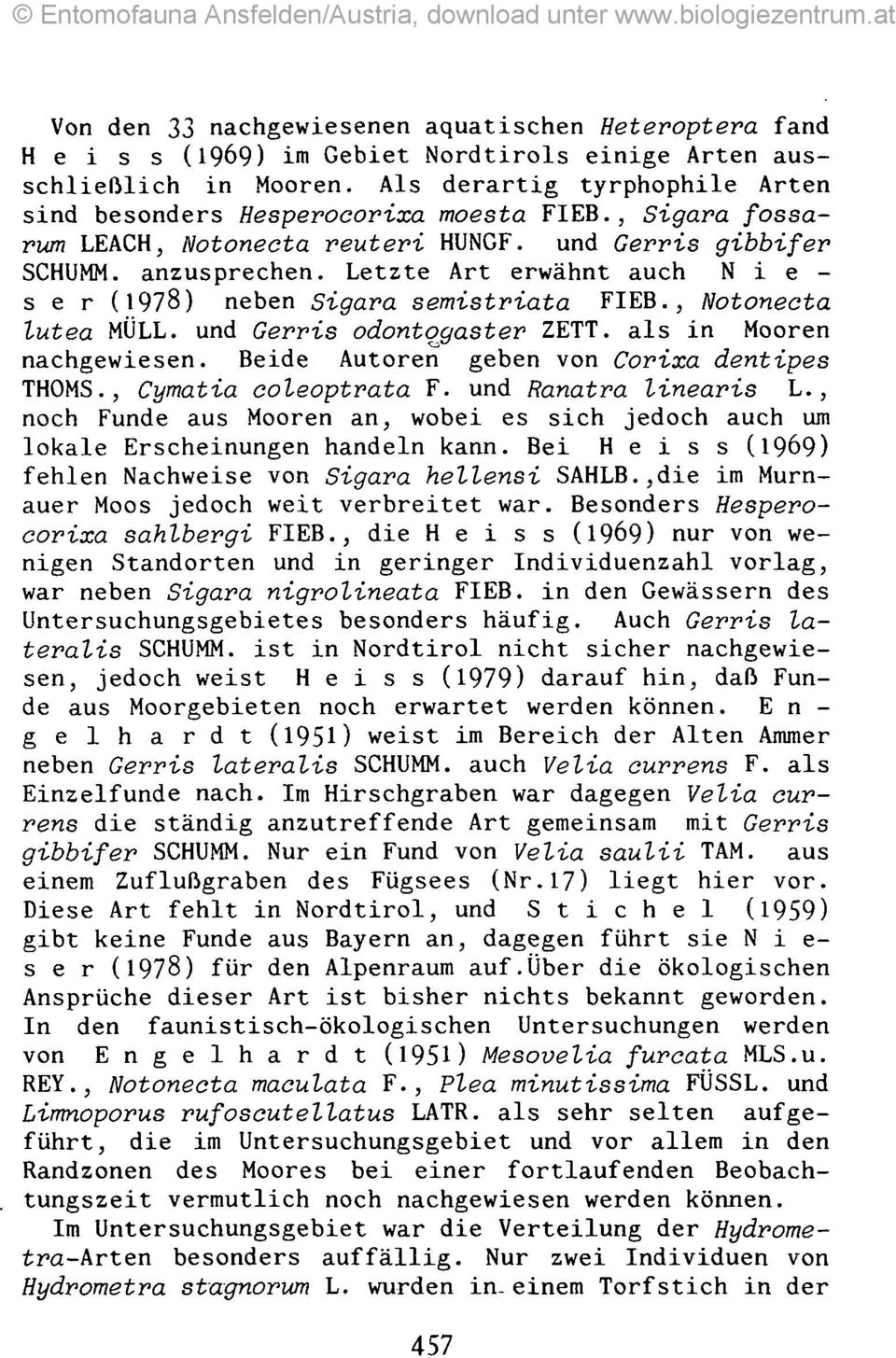 Letzte Art erwähnt auch N i e - ser (1978) neben Sigara semistriata FIEB., Notonecta lutea MÜLL, und Gerris odontqßaster ZETT. als in Mooren nachgewiesen.