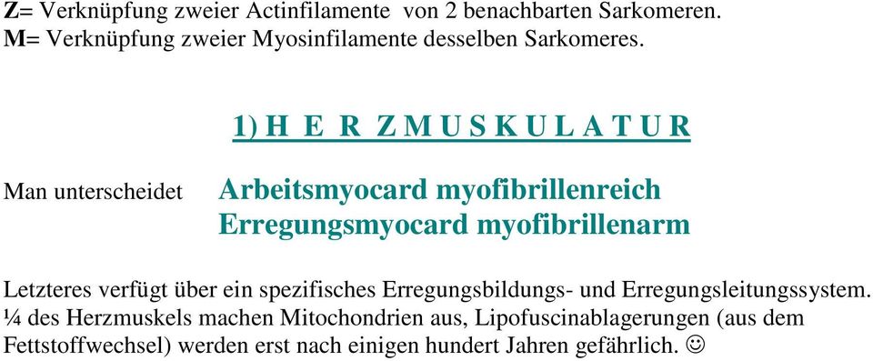 1) H E R Z M U S K U L A T U R Man unterscheidet Arbeitsmyocard myofibrillenreich Erregungsmyocard myofibrillenarm