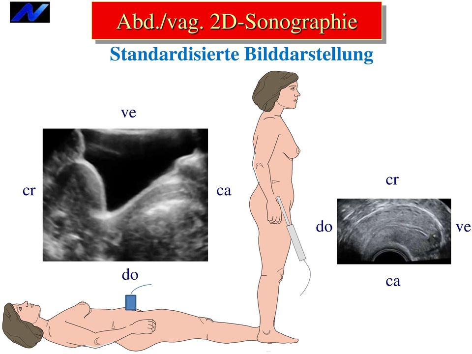 Standardisierte