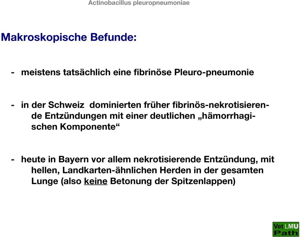 hämorrhagischen Komponente - heute in Bayern vor allem nekrotisierende Entzündung, mit