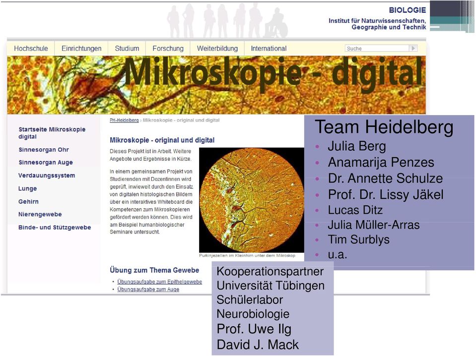 Mack Team Heidelberg Julia Berg Anamarija Penzes Dr.